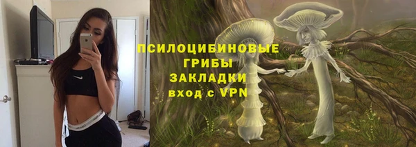 гидра Инсар