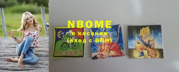 гидра Инсар
