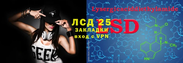 ПСИЛОЦИБИНОВЫЕ ГРИБЫ Иннополис
