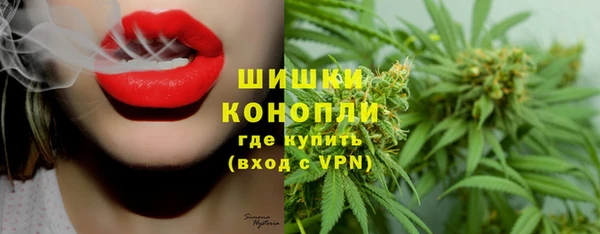 ПСИЛОЦИБИНОВЫЕ ГРИБЫ Иннополис