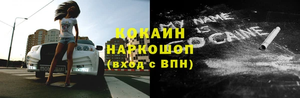 ГАЛЛЮЦИНОГЕННЫЕ ГРИБЫ Инта