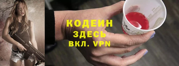ГАЛЛЮЦИНОГЕННЫЕ ГРИБЫ Инта