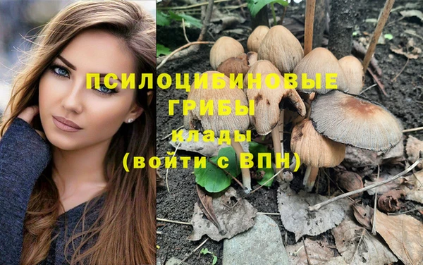 ПСИЛОЦИБИНОВЫЕ ГРИБЫ Иннополис