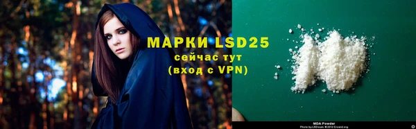 гидра Инсар