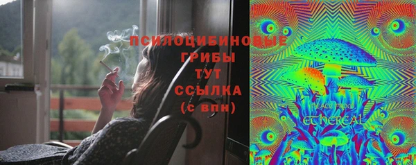 гидра Инсар
