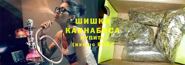 ПСИЛОЦИБИНОВЫЕ ГРИБЫ Иннополис