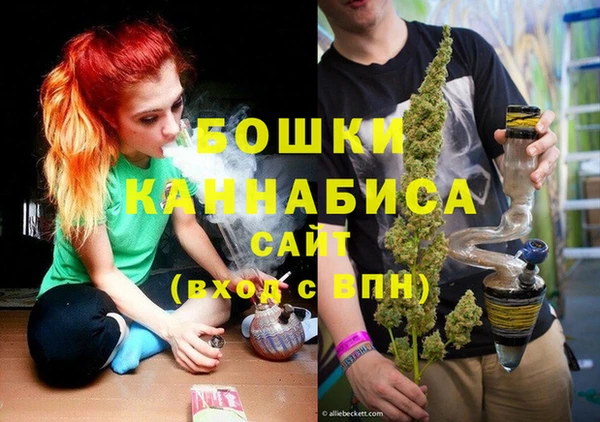 ПСИЛОЦИБИНОВЫЕ ГРИБЫ Иннополис