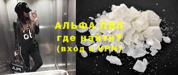 ПСИЛОЦИБИНОВЫЕ ГРИБЫ Иннополис