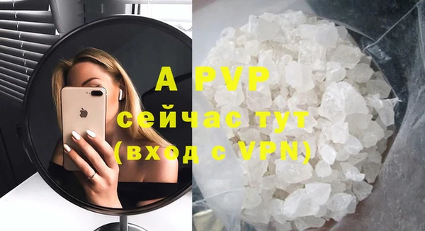 гидра Инсар